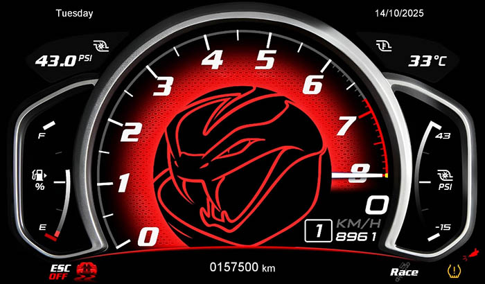 Dodge Viper SRT E10 Screen 17