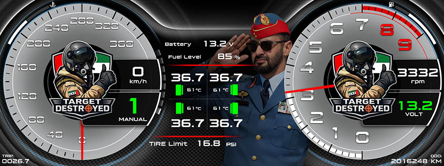 Our ruler of UAE E 12 1 8