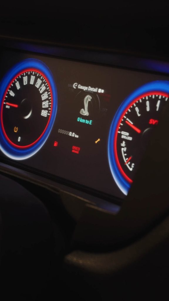 Elite Dash Mustang 14