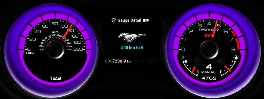 Mustang Shelby E 12 Screen 2 6
