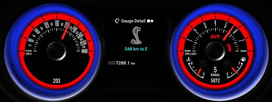 Mustang Shelby E 12 Screen 5 1