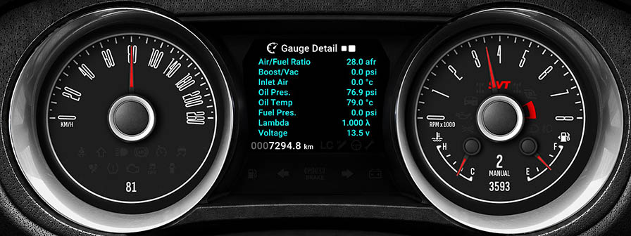 Mustang Shelby E 12 Screen 6 3