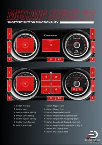 Mustang Shelby E 12 Shortcut Button